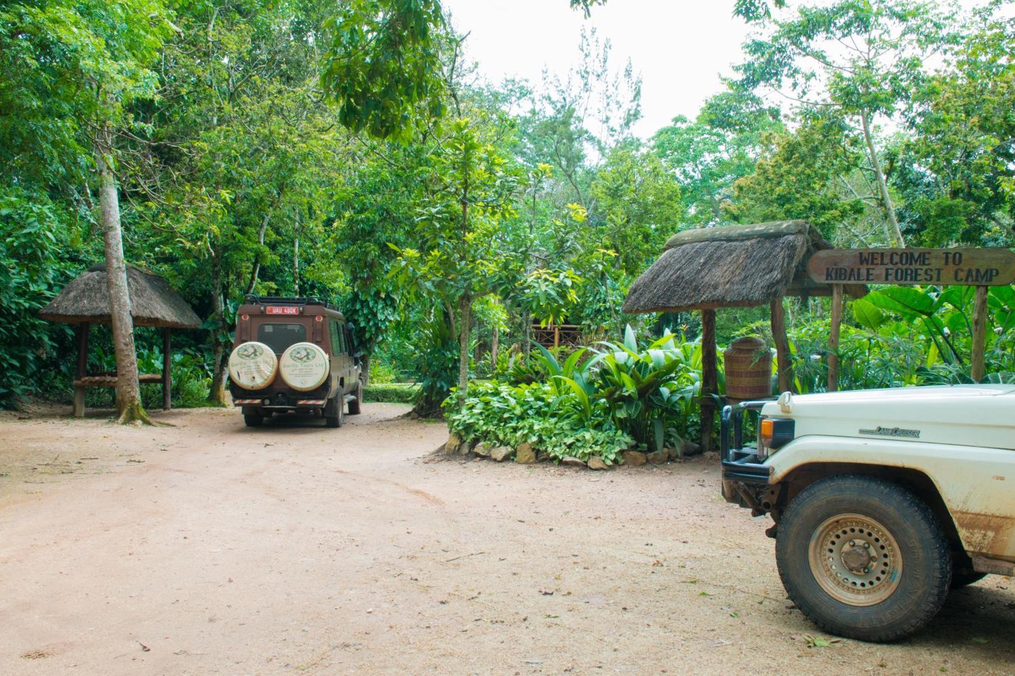 Kibale Forest Camp By Nature Lodges Ltd Kyenjojo Exterior foto