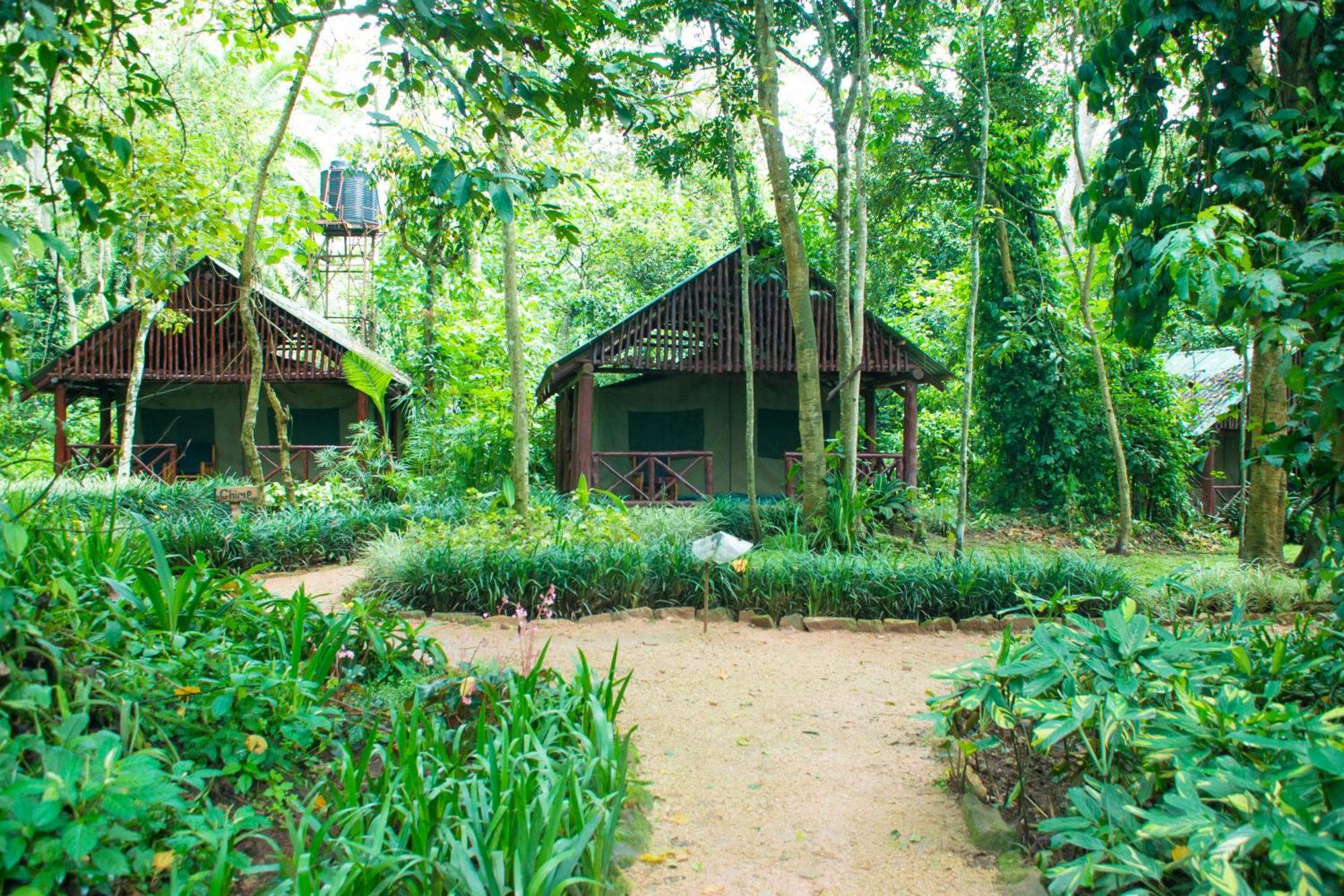 Kibale Forest Camp By Nature Lodges Ltd Kyenjojo Exterior foto