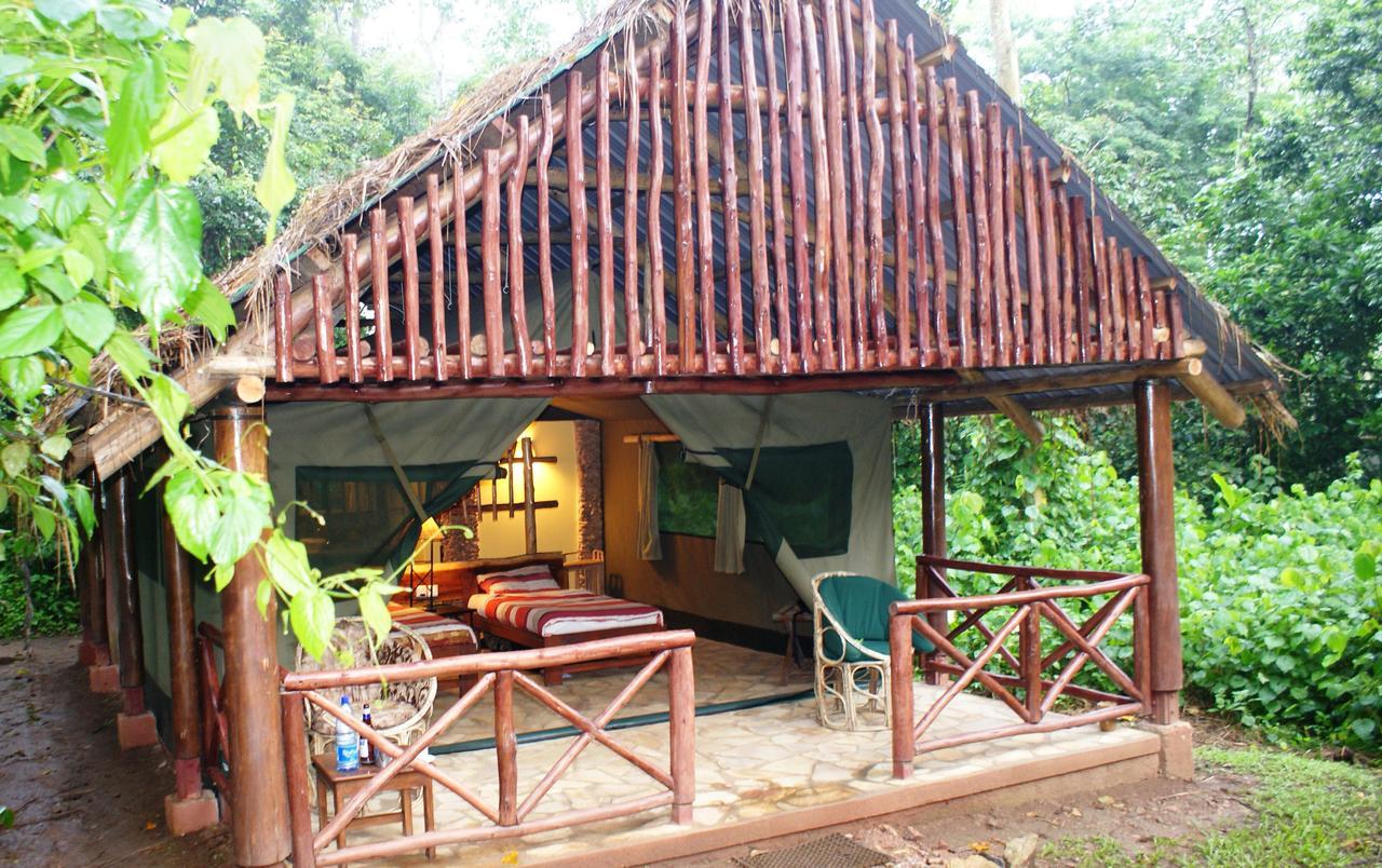 Kibale Forest Camp By Nature Lodges Ltd Kyenjojo Exterior foto