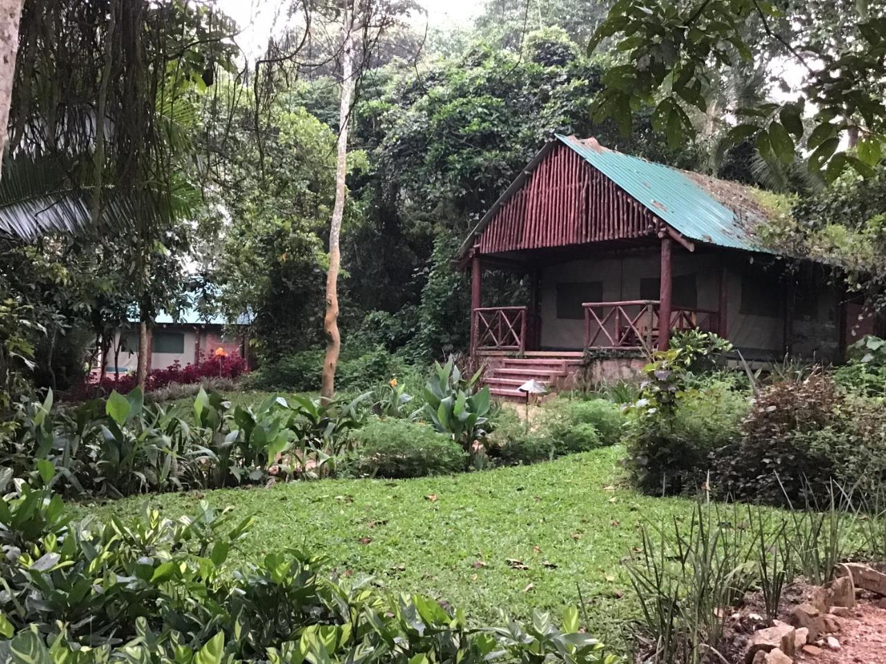 Kibale Forest Camp By Nature Lodges Ltd Kyenjojo Exterior foto