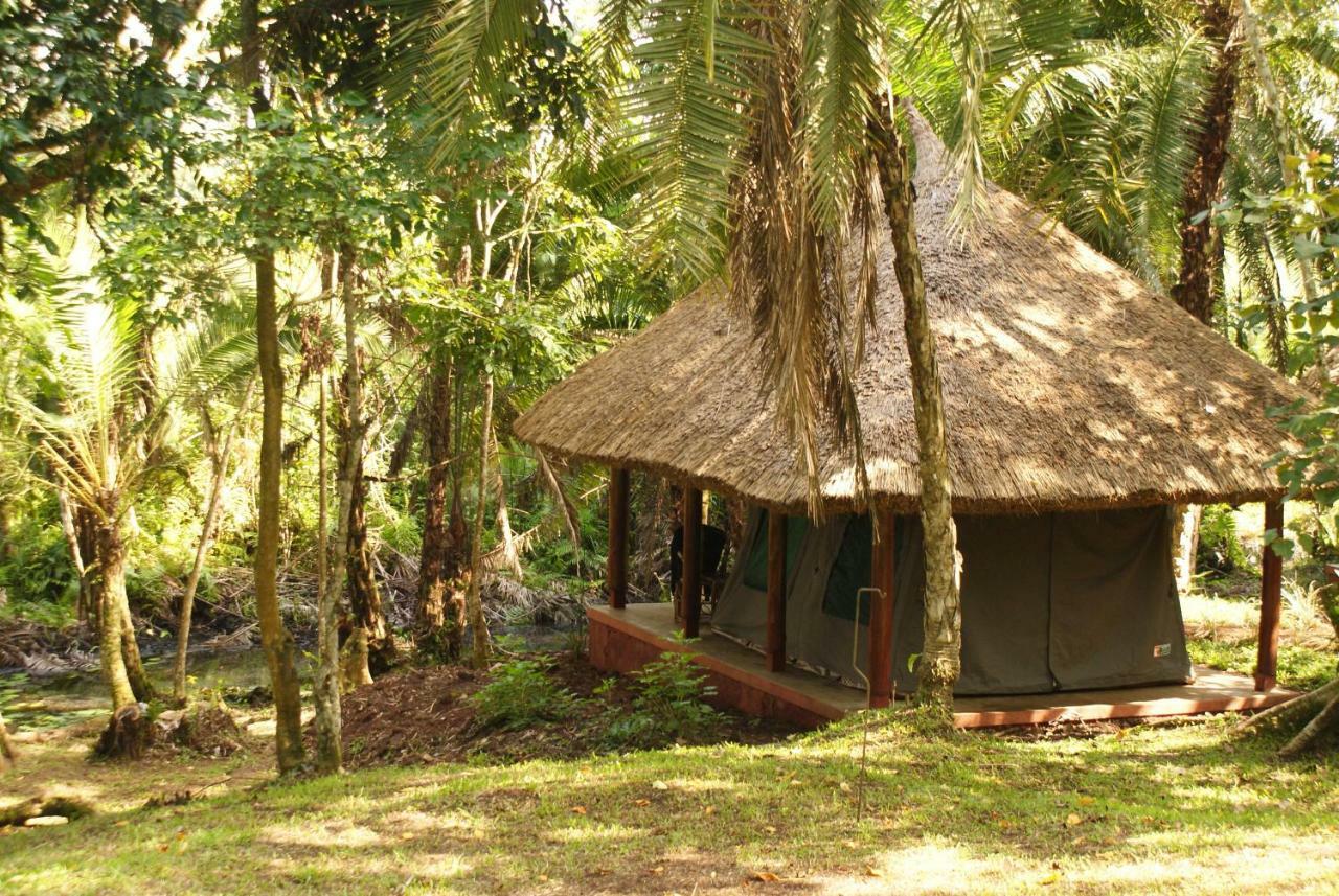 Kibale Forest Camp By Nature Lodges Ltd Kyenjojo Exterior foto