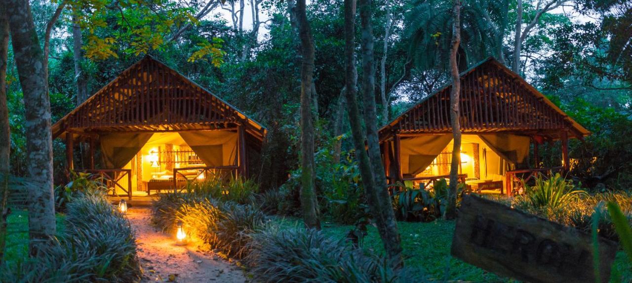 Kibale Forest Camp By Nature Lodges Ltd Kyenjojo Exterior foto