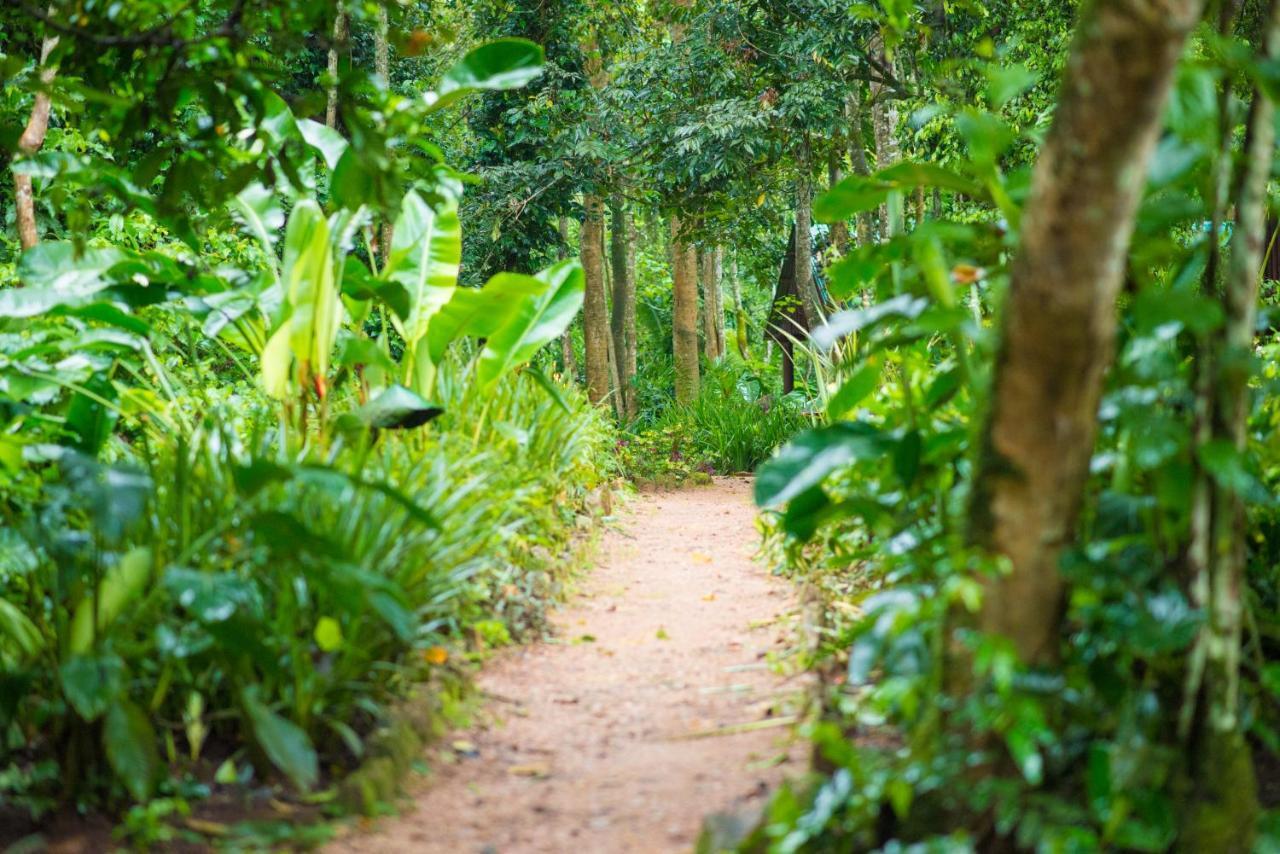 Kibale Forest Camp By Nature Lodges Ltd Kyenjojo Exterior foto