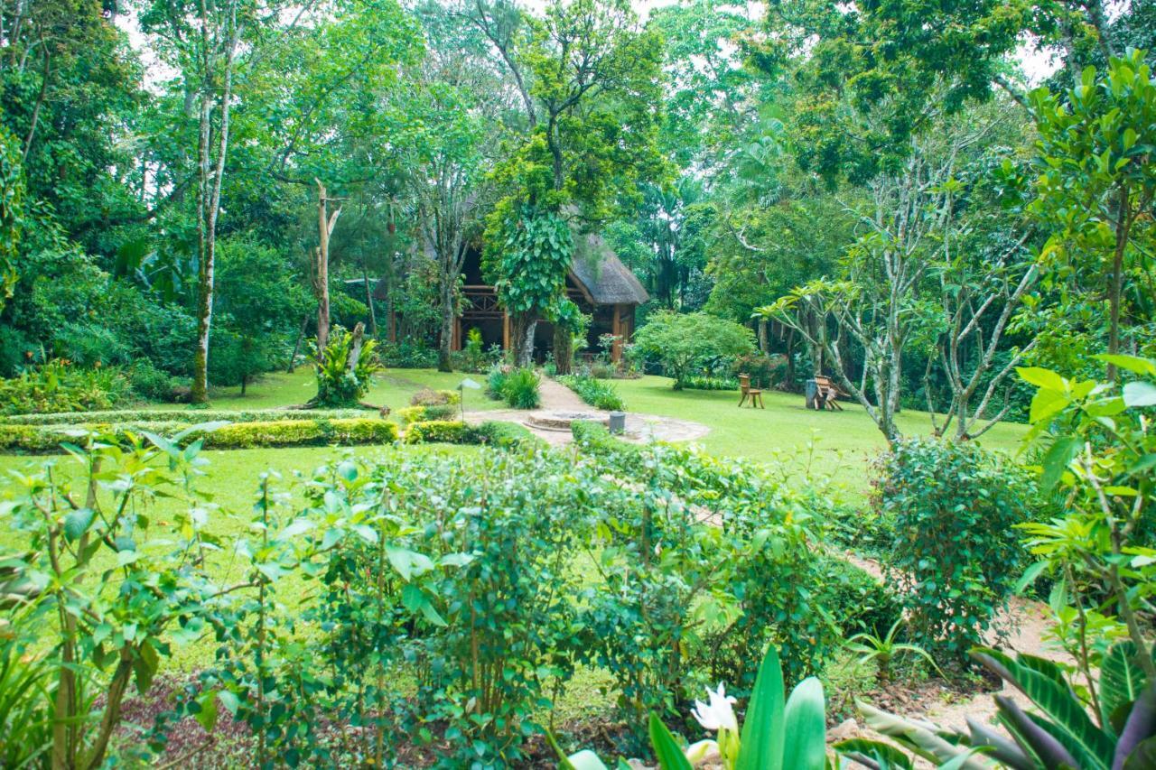 Kibale Forest Camp By Nature Lodges Ltd Kyenjojo Exterior foto