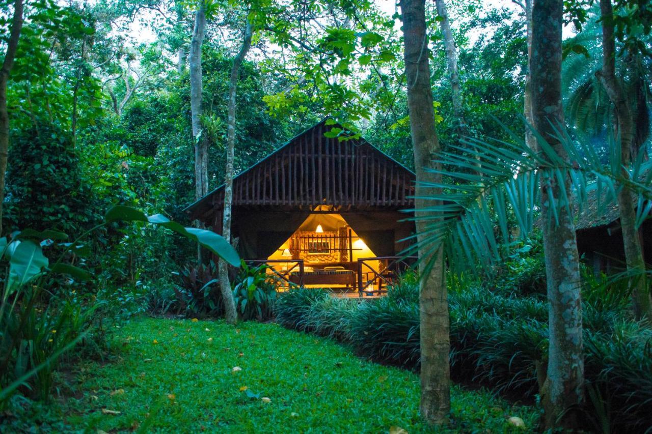 Kibale Forest Camp By Nature Lodges Ltd Kyenjojo Exterior foto